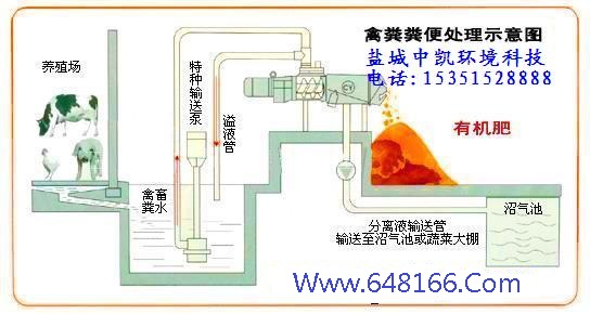 91香蕉直播APP示意图